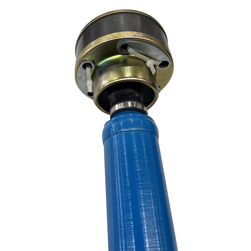 RSK-CV06-111 EL Slijtvaste telescopische Constant Velocity Joint voor testbank